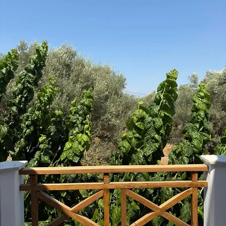 Terra Olea * Λευκάδα
